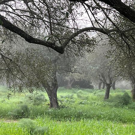 Muristene Pozzo Santa Cristina Paulilatino Exteriér fotografie