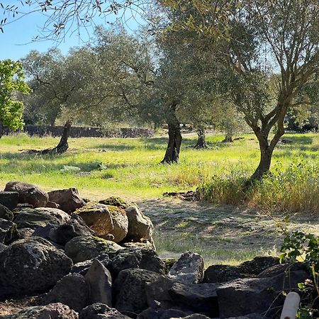 Muristene Pozzo Santa Cristina Paulilatino Exteriér fotografie