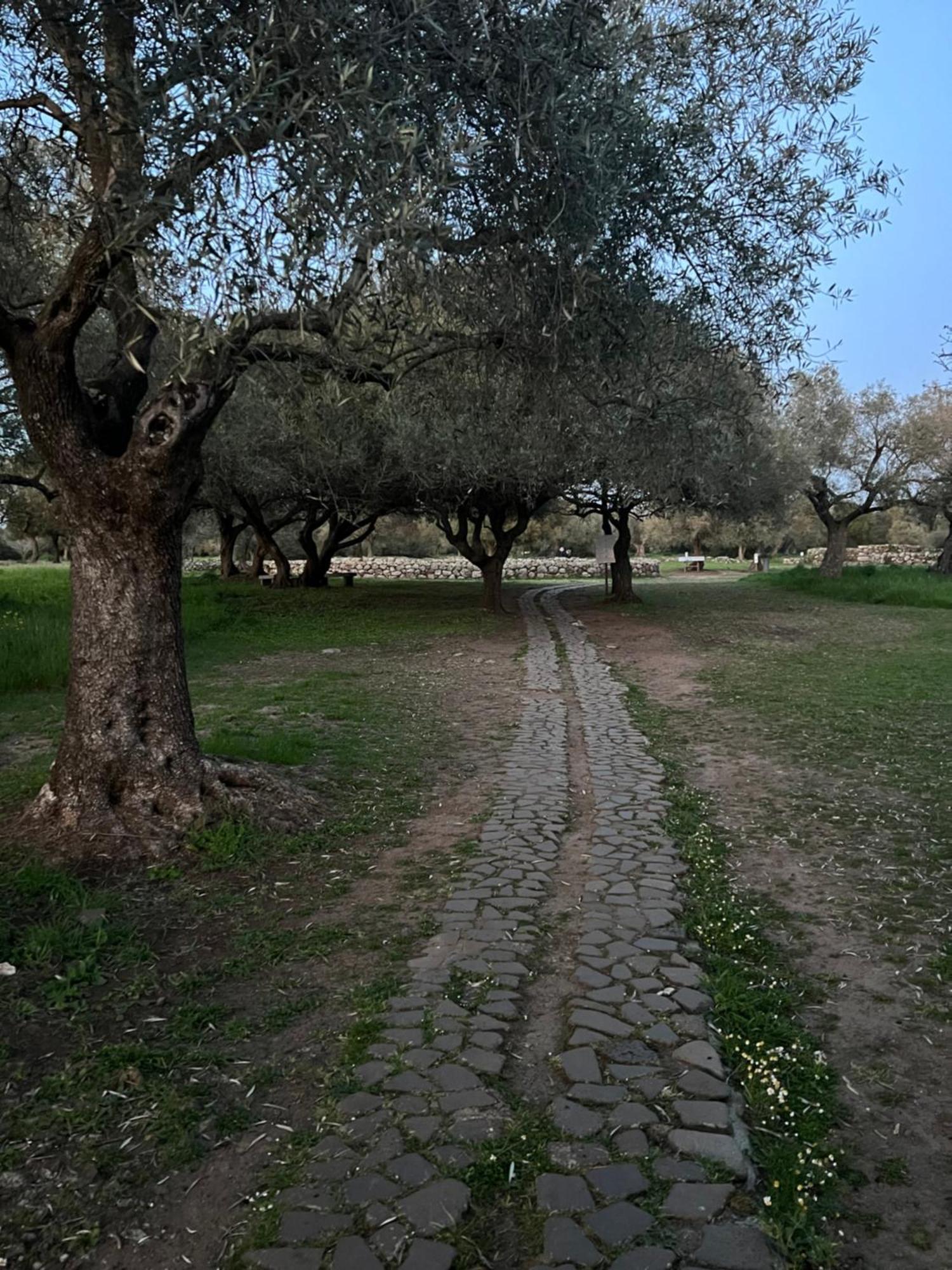 Muristene Pozzo Santa Cristina Paulilatino Exteriér fotografie