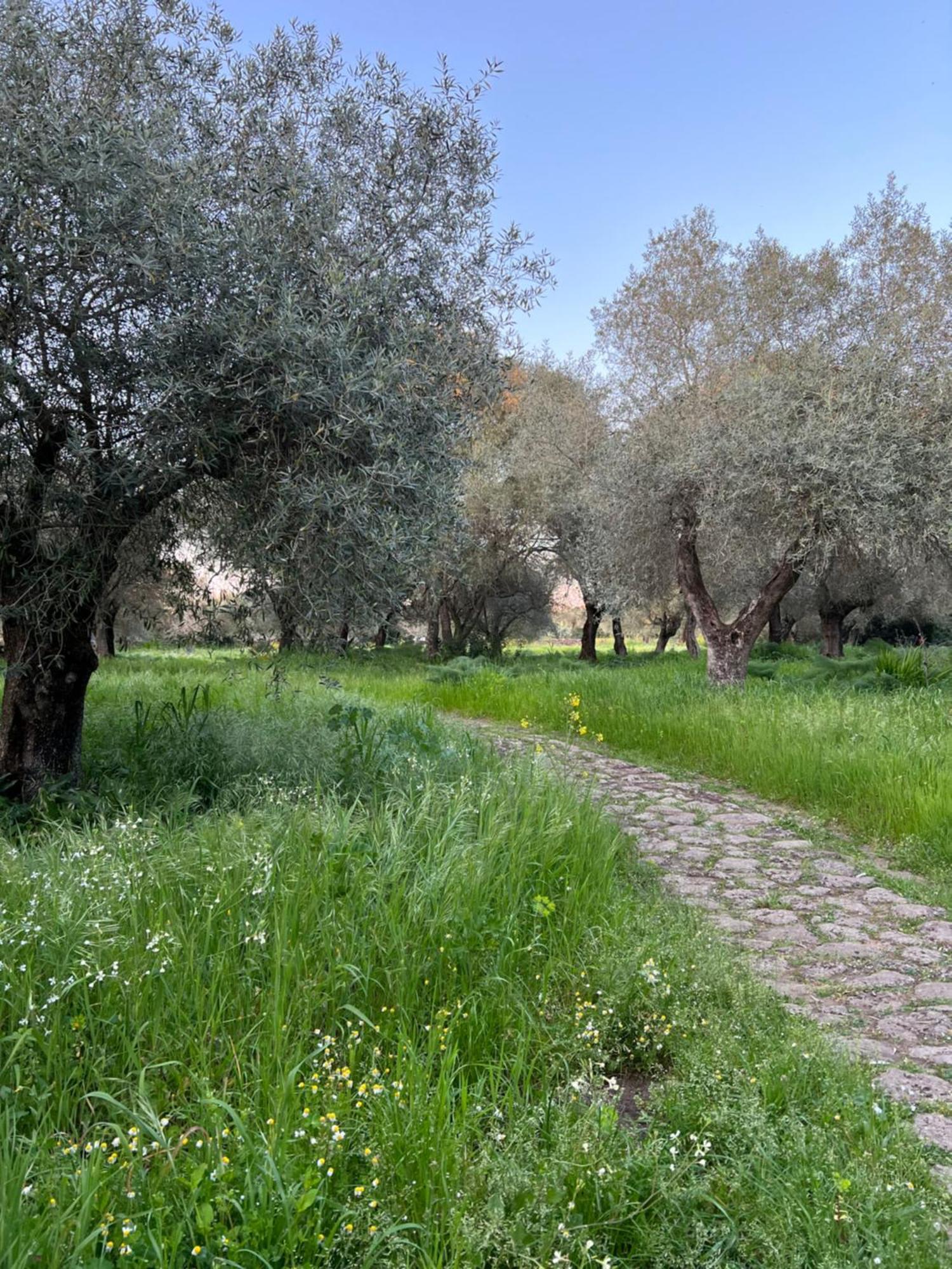 Muristene Pozzo Santa Cristina Paulilatino Exteriér fotografie