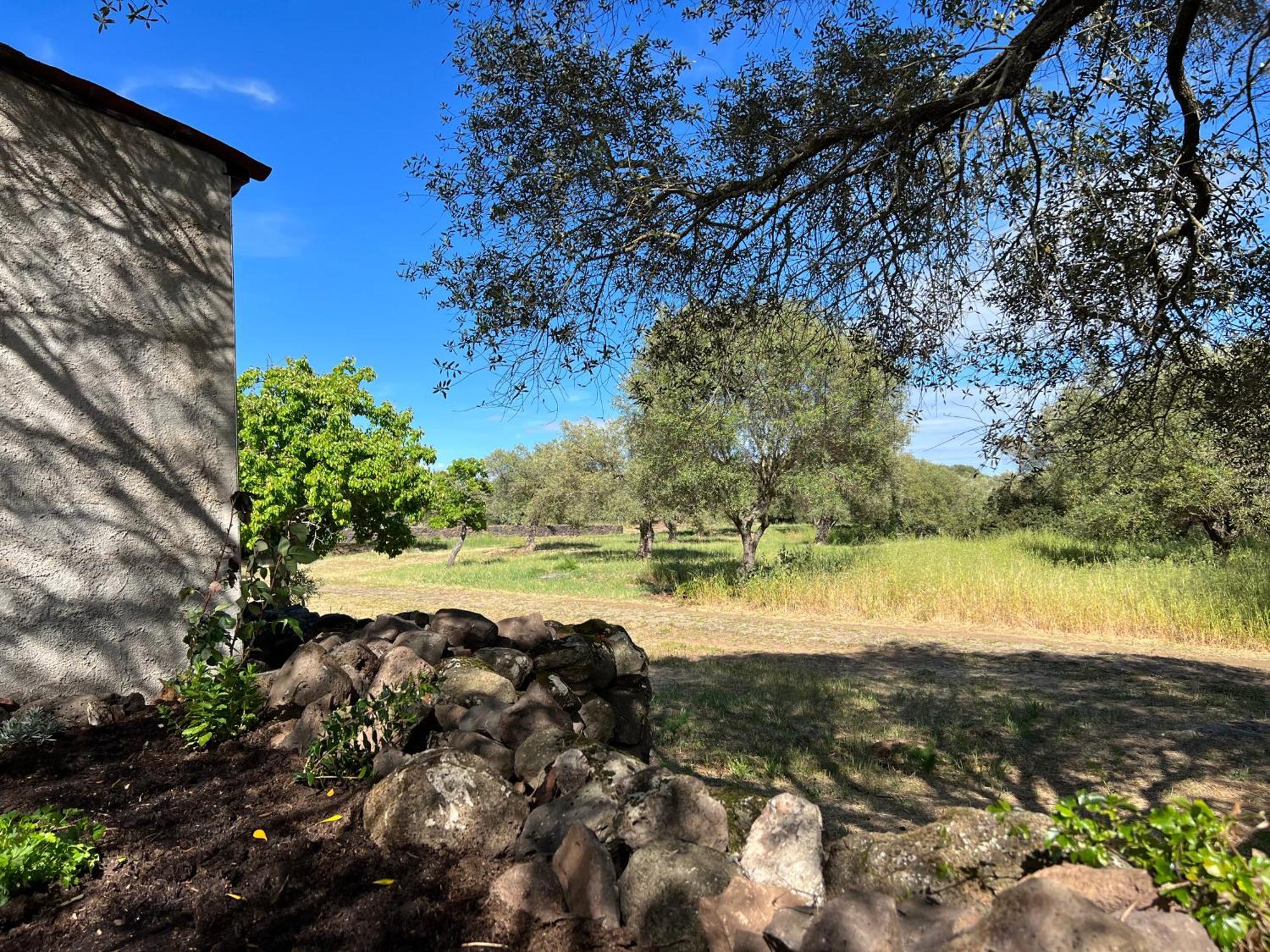 Muristene Pozzo Santa Cristina Paulilatino Exteriér fotografie