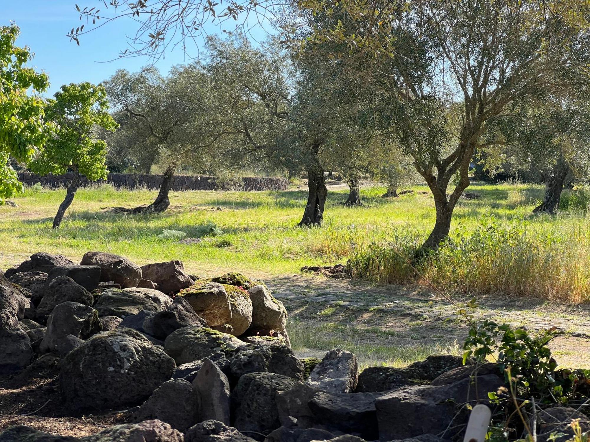 Muristene Pozzo Santa Cristina Paulilatino Exteriér fotografie